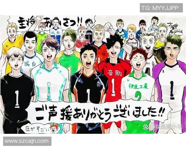 杨磊专访：从青涩少年到排球明星的奋斗与成长之路