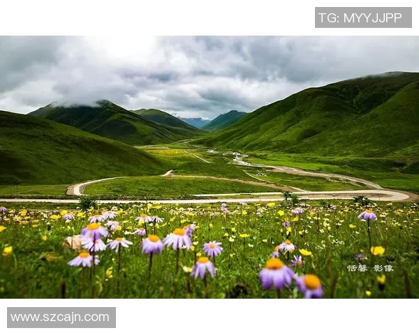 探索摩尔特里之美:感受自然与人文的完美融合之旅 探索摩尔特里之美:感受自然与人文的完美融合之旅