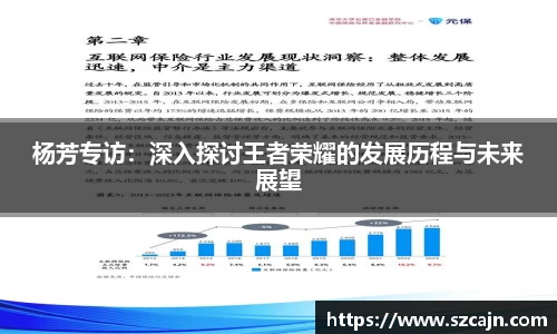 杨芳专访：深入探讨王者荣耀的发展历程与未来展望