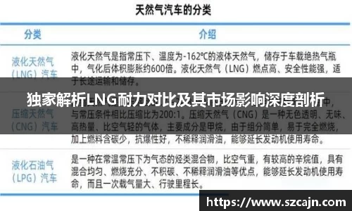 独家解析LNG耐力对比及其市场影响深度剖析